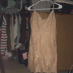 Formal Pink/Champagne Floral Detailed Dress